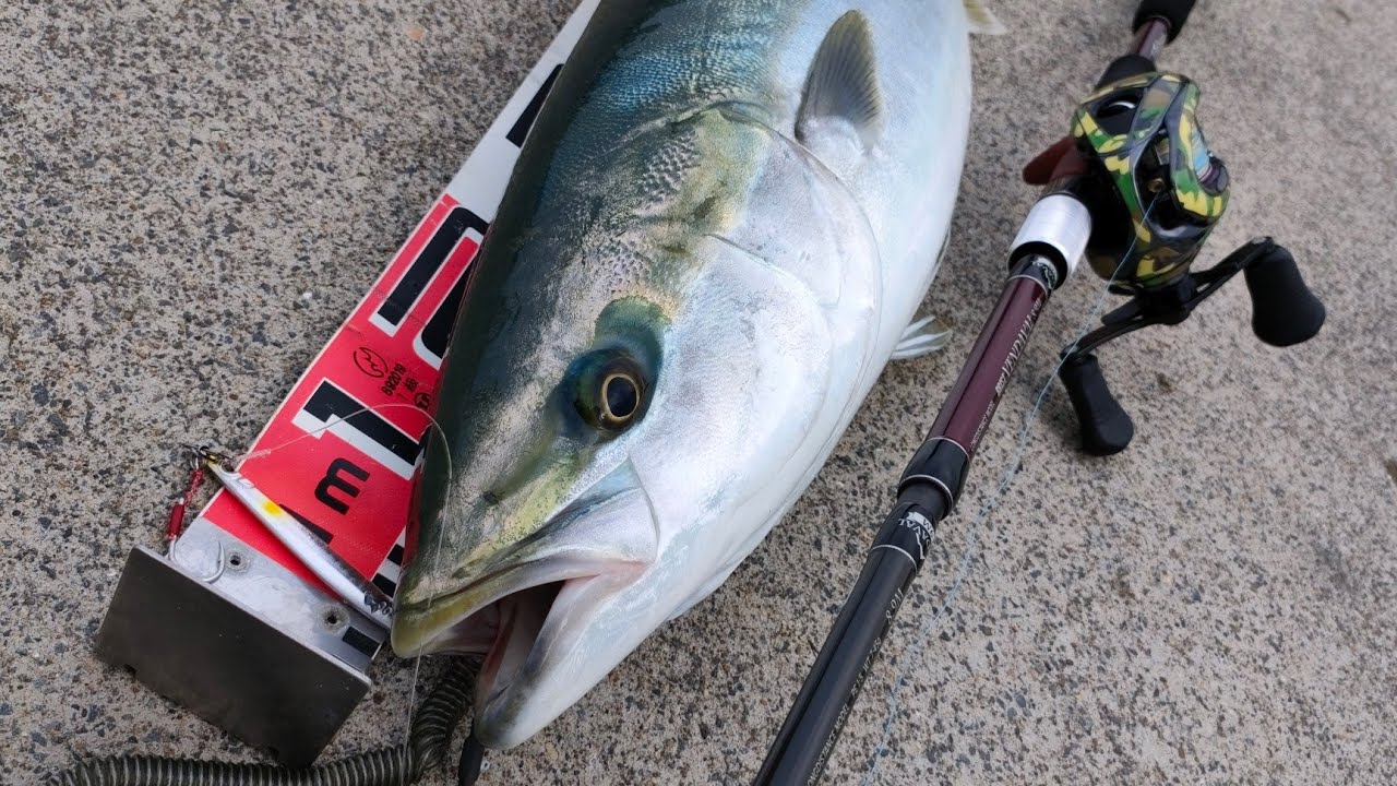 100ｍ砲ベンダバール8.9Mでワラサ