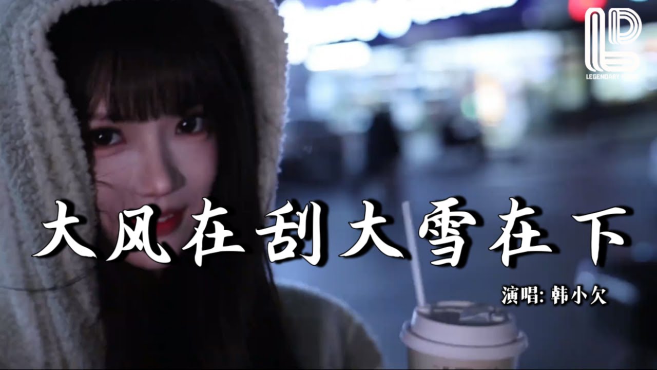 韩小欠 - 大风在刮大雪在下 (抖音热播DJ版) Da Feng Zai Gua Da Xue Zai Xia『大风在刮大雪在下，我还在想他，句句情话 成心口的疤』抖音版｜ 热门爆火版『动态歌词MV』