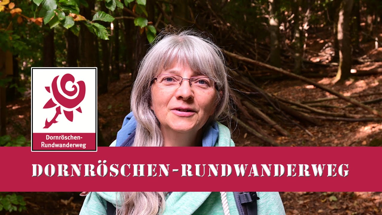 Dornröschen-Rundwanderweg bei Dörrenbach | Burgruine Guttenberg