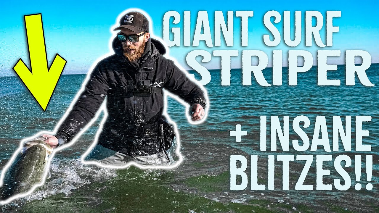 GIANT SURF Striped Bass + MASSIVE BLITZES Along New Jersey Coast - Smooch and Release - FALL RUN