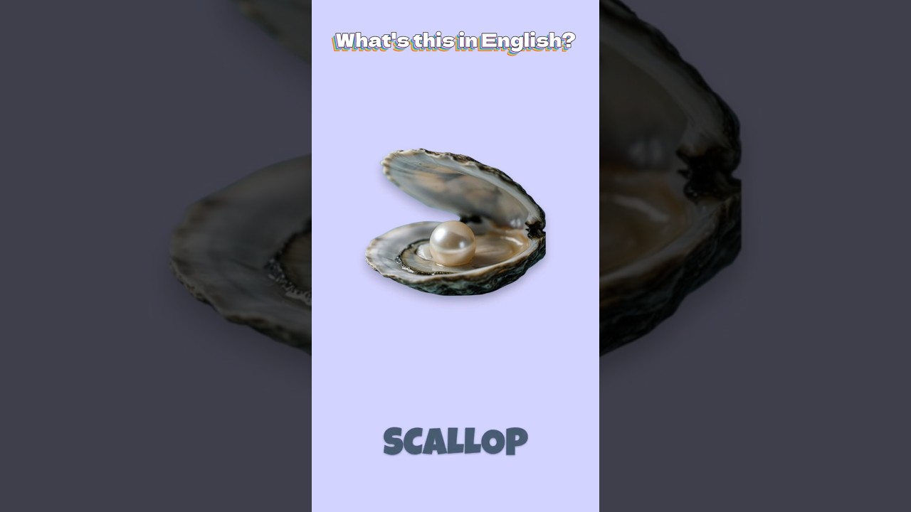 CL-046 | Shellfish Vocabulary - Learn Popular Seafood Names 🦐