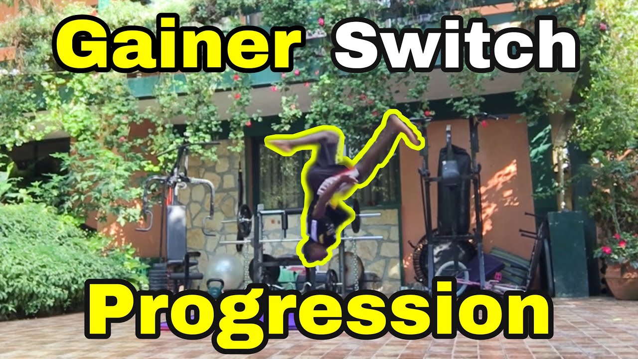 My Gainer Switch Progression 2 DAYS /apflipper