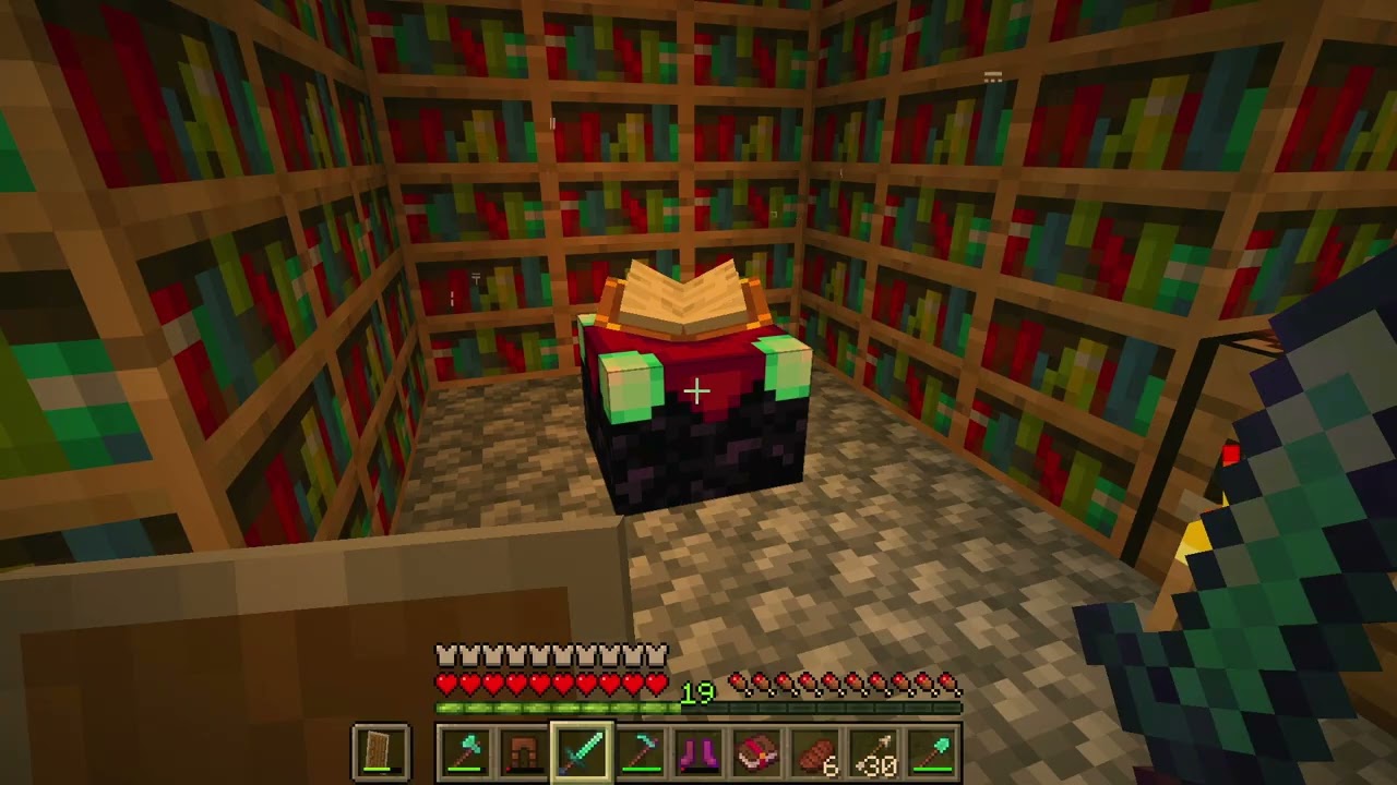 Minecraft 1000 Días, 20/1000