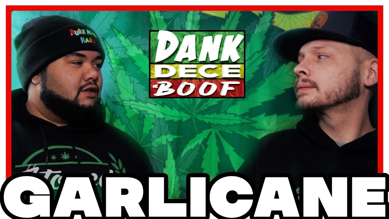 Garlicane Strain Review [DANK, DECE, OR BOOF?]
