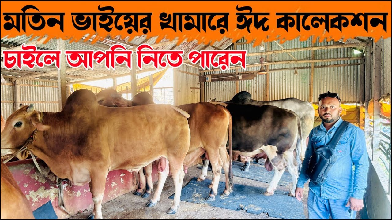 ২১০ - মতিন ভাইয়ের খামারে ঈদ কালেকশন চাইলে আপনি নিতে পারেন