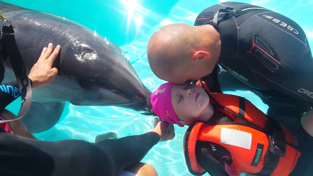 Delfinoterapia sonar ultradźwięki delfina