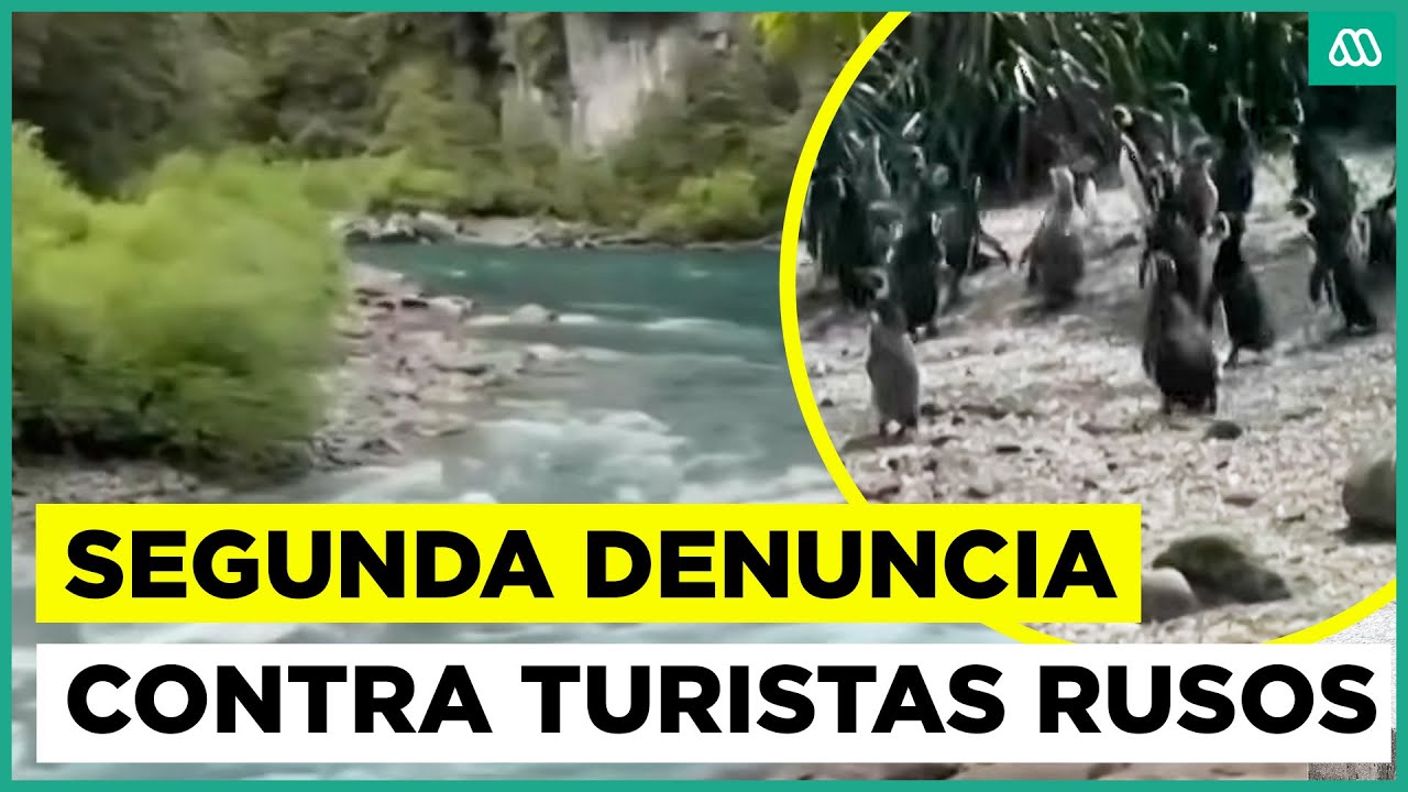 Segunda denuncia contra turistas rusos ahora en Chiloé