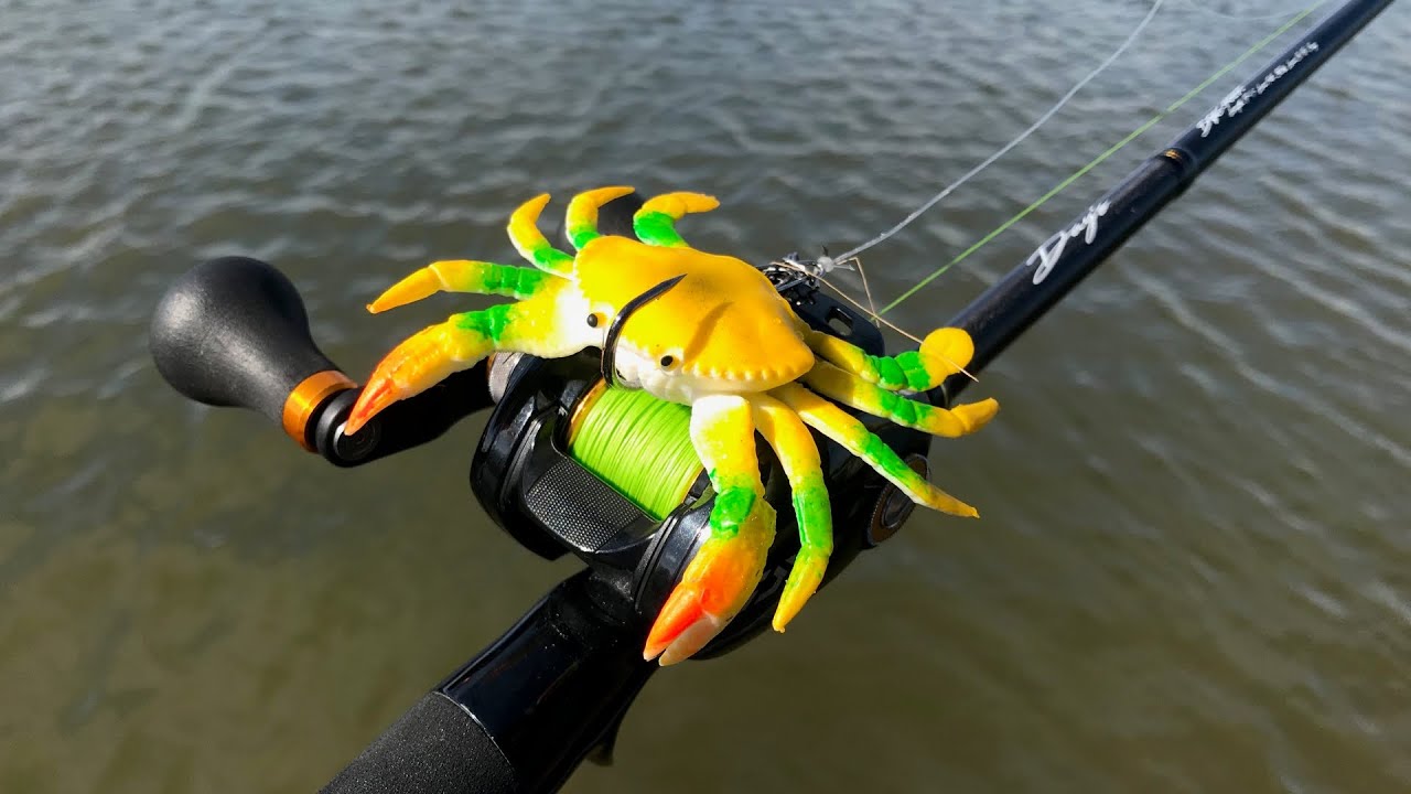 Câu Lure Cá Chẽm Bằng Cua Giả | Fake Crab Weird Fishing Lure Challenge