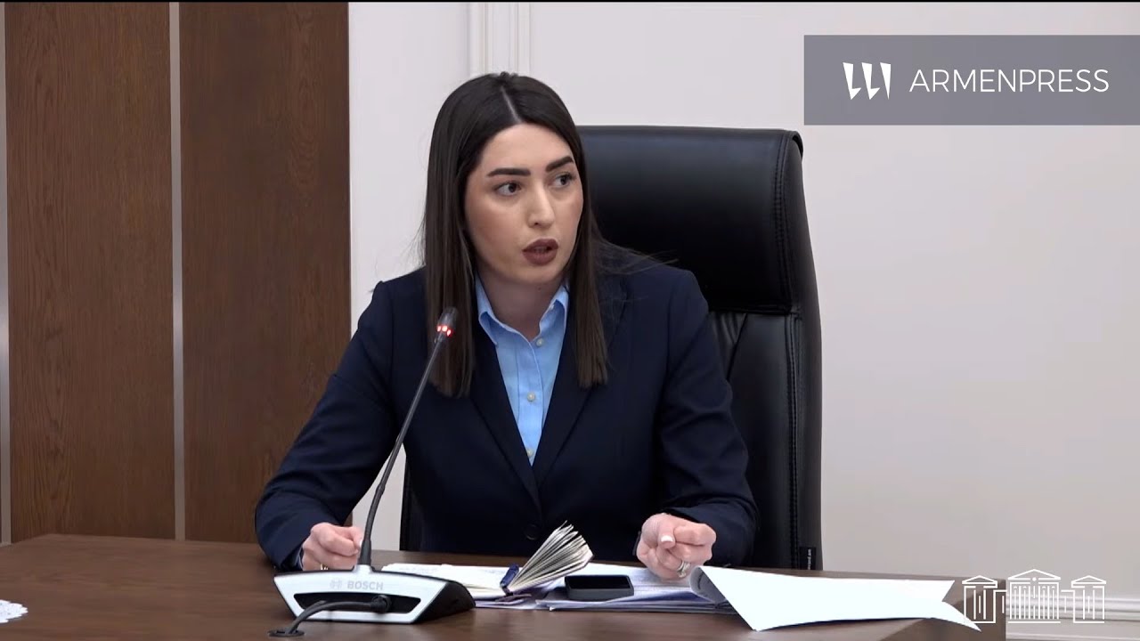 ՆԳ նախարար Արփինե Սարգսյանն անդրադարձել է թանկարժեք ավտոմեքենա ձեռք բերելու հարցին