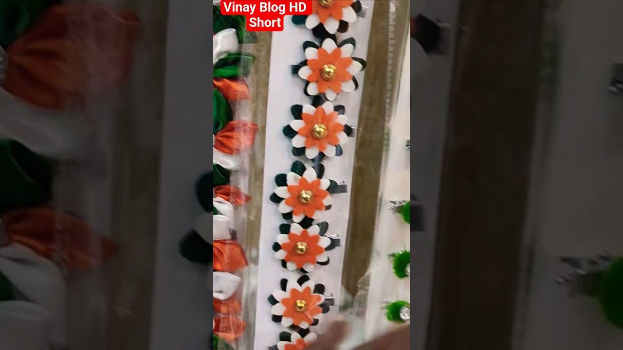 Hair Pin Flag for women Low Price Market 