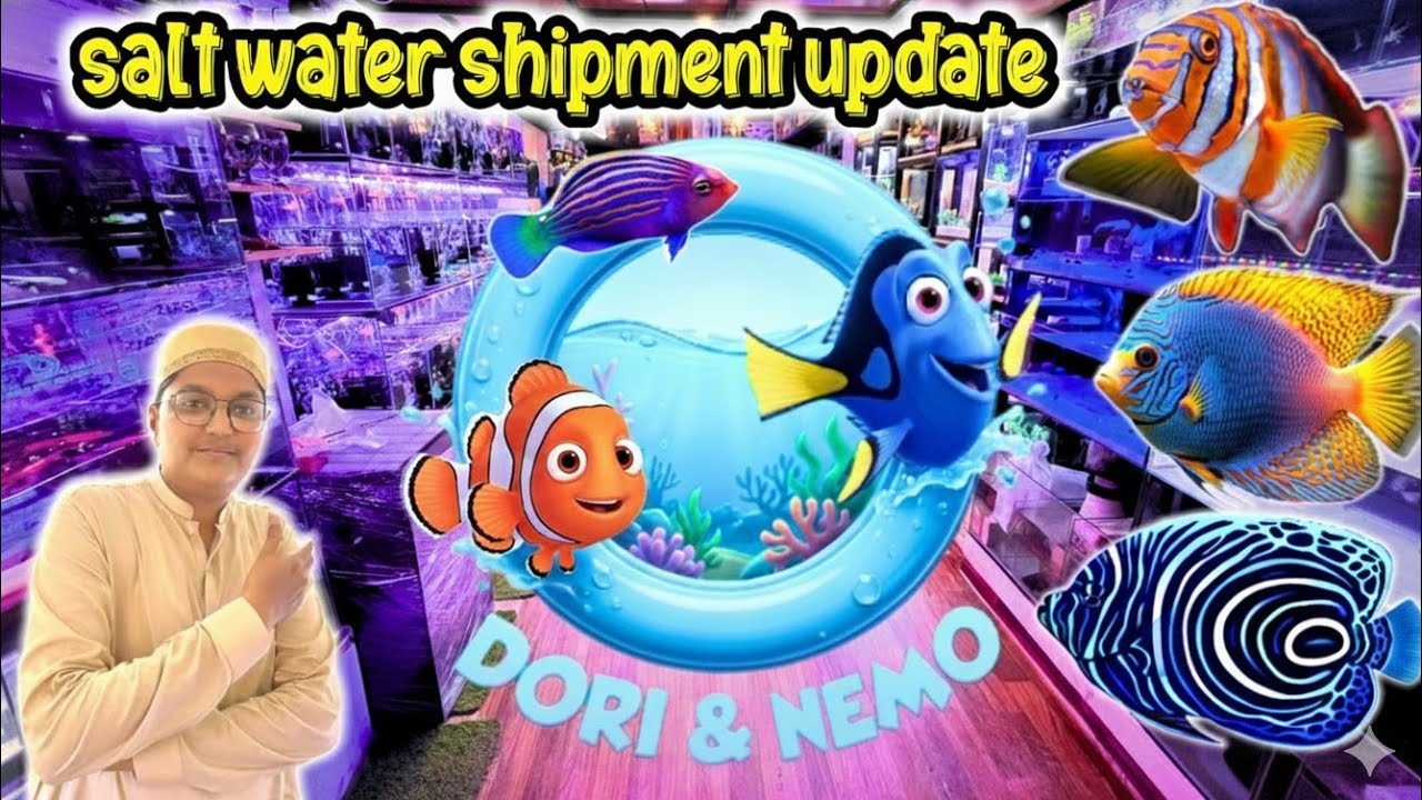 New Saltwater Fish Shipment Update | Dory & Nemo Arrived! Rare Marine Fish Collection 2025 