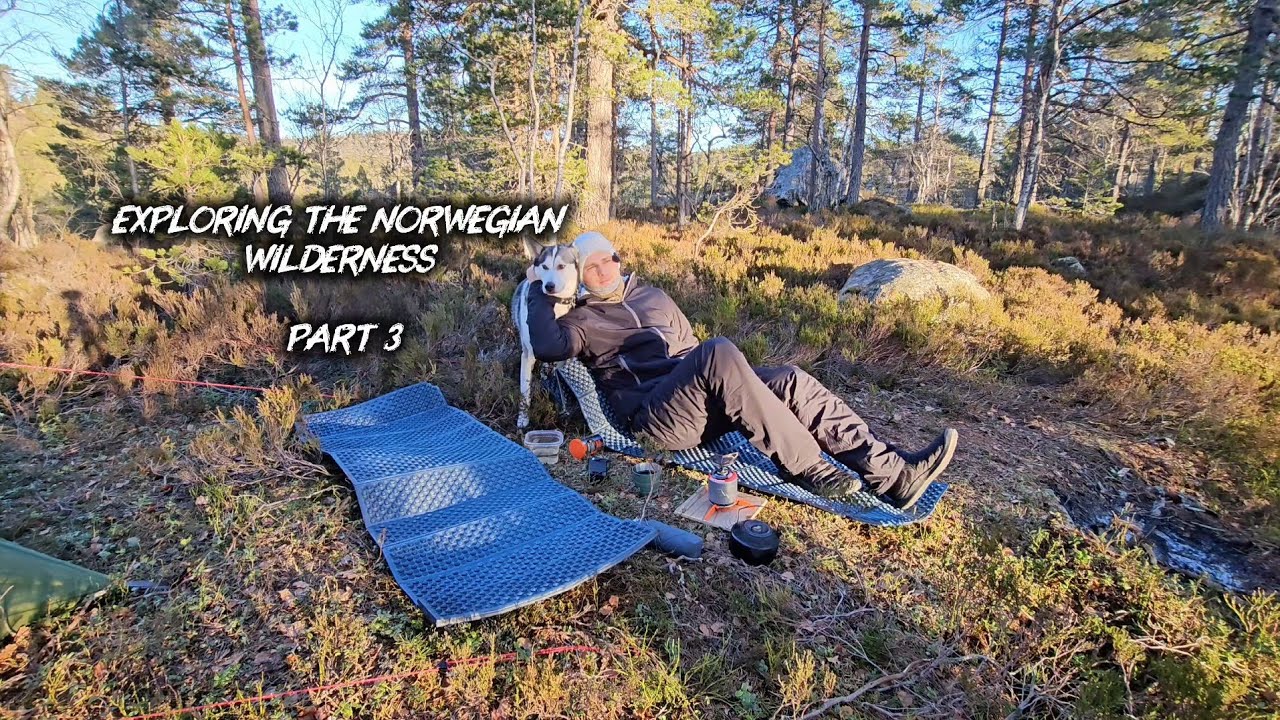 Quiet Winter Camping in the Norwegian Wilderness | Solo with My Husky