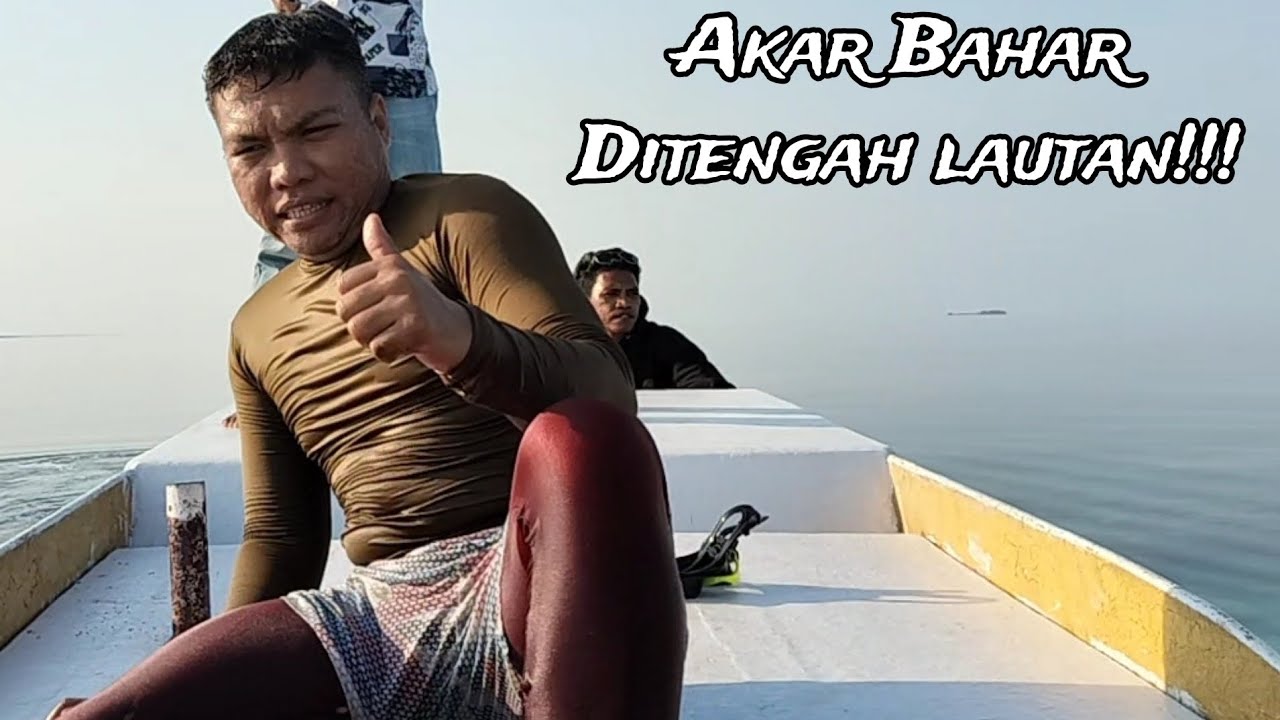 BEGINI PROSES PENGAMBILAN AKAR BAHAR DI TENGAH LAUTAN !!