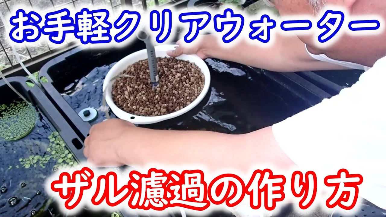 【めだか】夏でもクリアウォーターで鑑賞したい！誰でも簡単にできる濾過を紹介します。