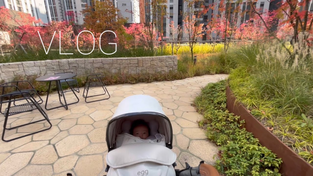 [VLOG] 71-80일 기록ㅣ2개월 아기 일상, 폭풍 옹알이 시작, 가을 산책, 노시부 사용법