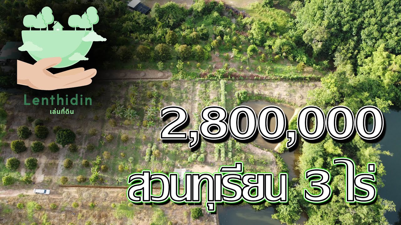 LDC-00170 #ขายสวนทุเรียน 3ไร่ติดคลอง🏡🔅ทุเรียนหมอนทอง95ต้นโฉนดครุฑแดง ต.วังใหม่ อ.นายายอาม จันทบุรี