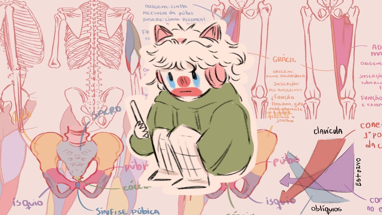Dicas para estudar anatomia | tutorial de anatomia