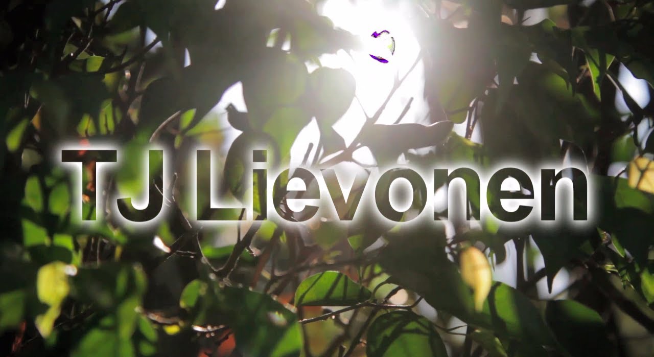 TJ Lievonen Demo Reel