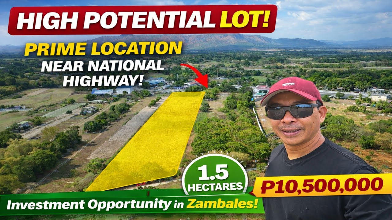 Castillejos Zambales Land for Sale | 1.5 Hectares Near National Highway