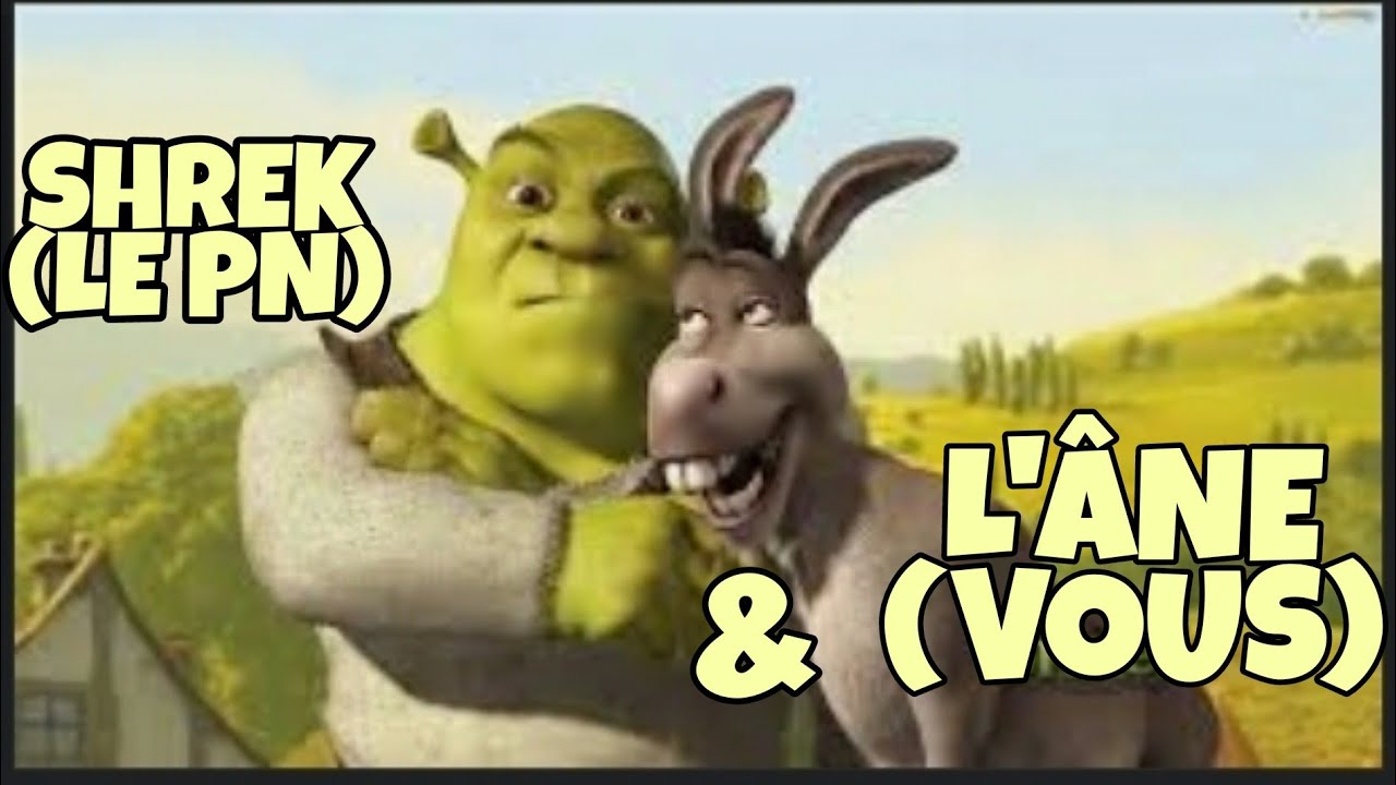 VOUS ETES L'ÂNE DE SHREK (PERVERS NARCISSIQUE)