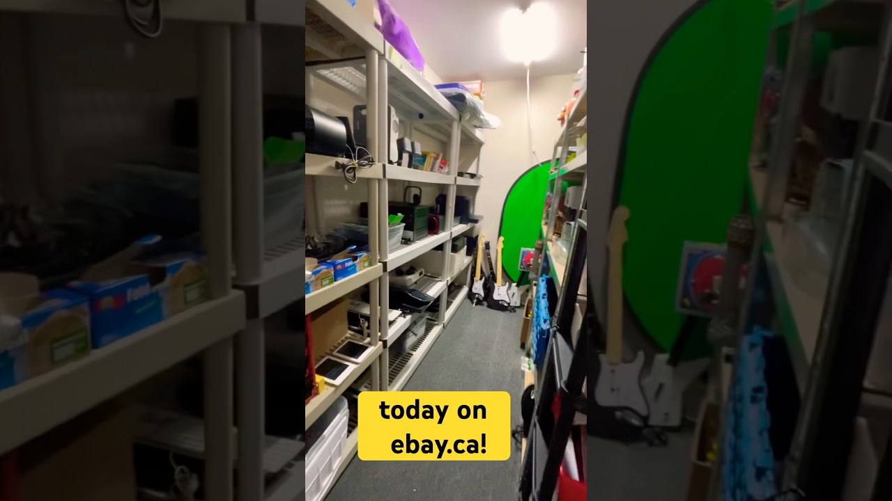 What Actually Sells on eBay.ca in 2025? 🤔💸🇨🇦