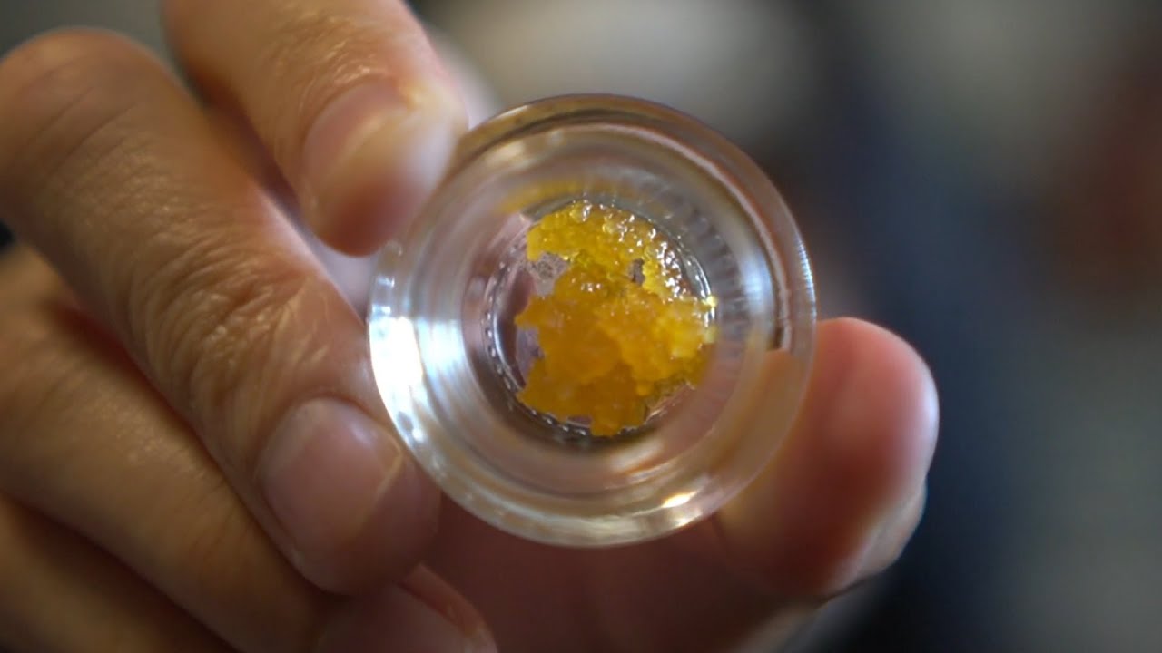 CANNABIOTIX TERP SUGAR