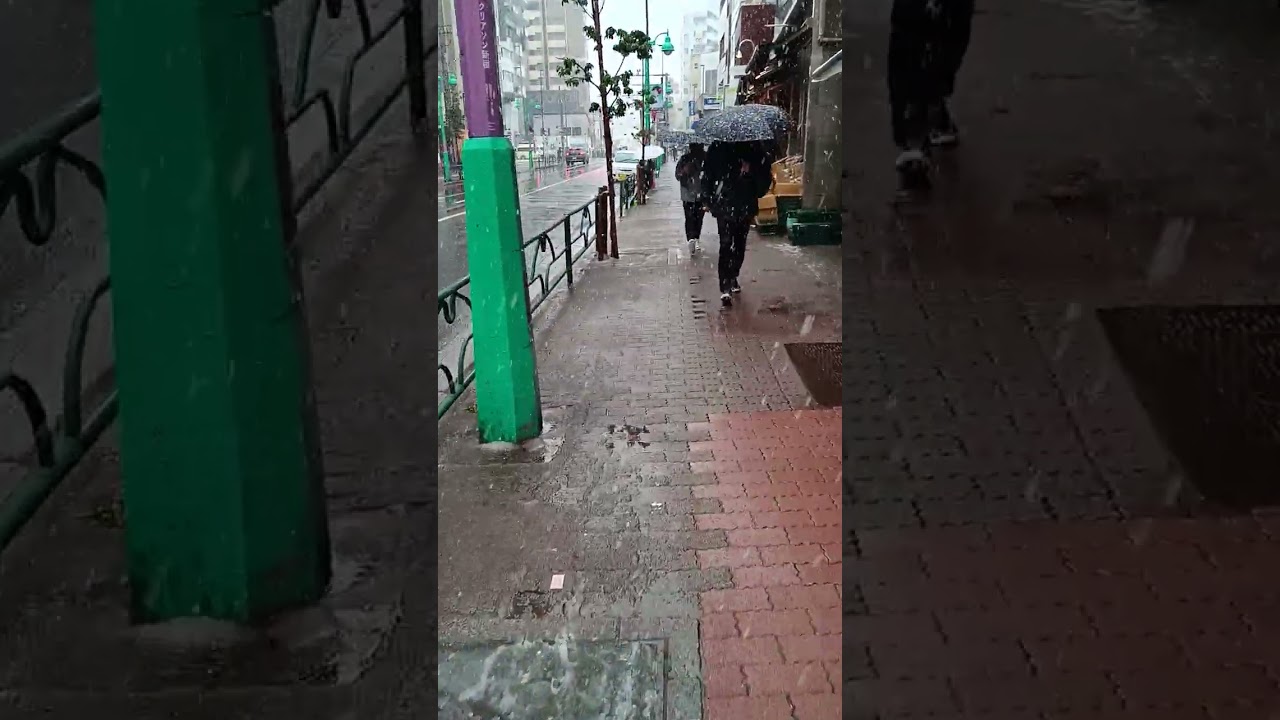 2025 03 19 Tokyo Snow001