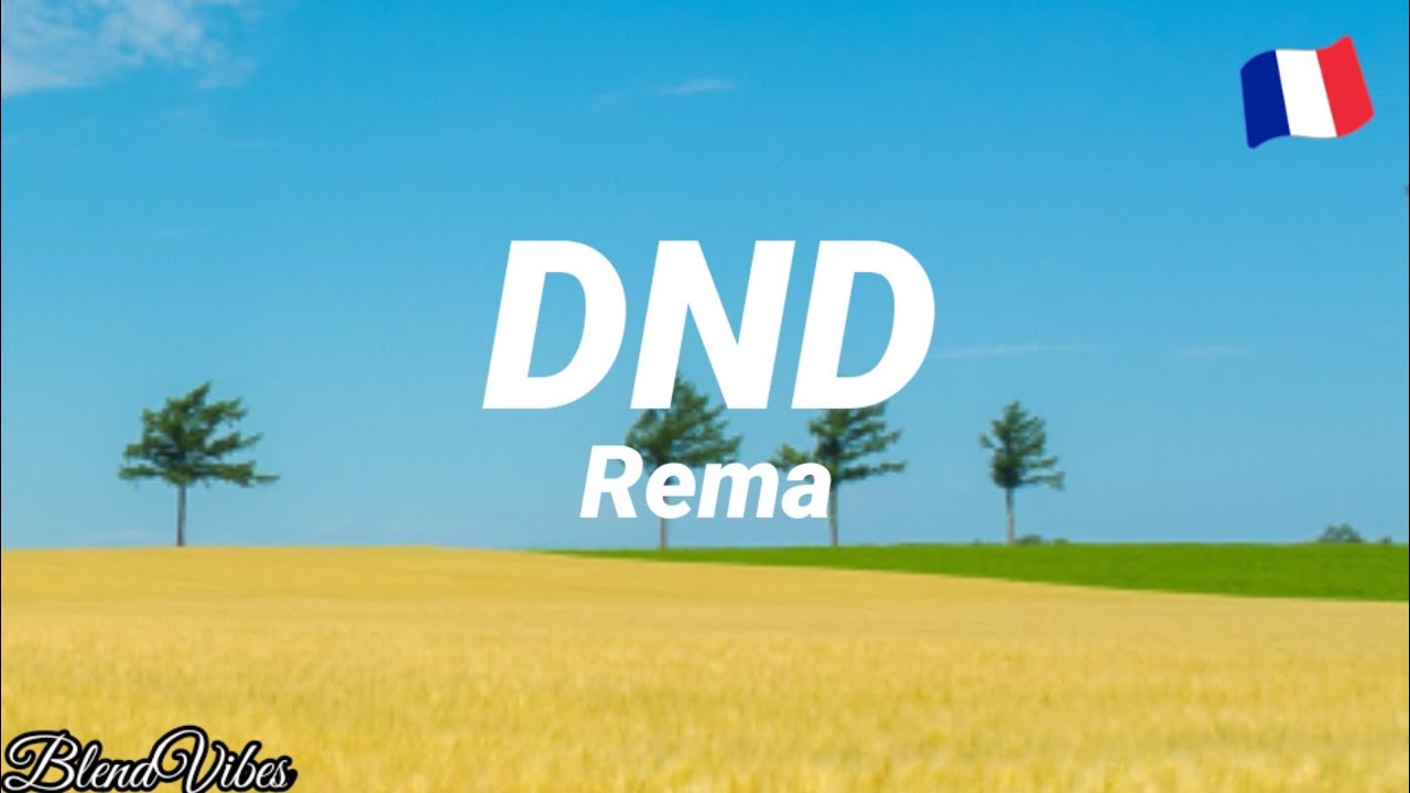 Rema - DND (Do Not Disturb) (Traduction Française 🇫🇷 & Lyrics)