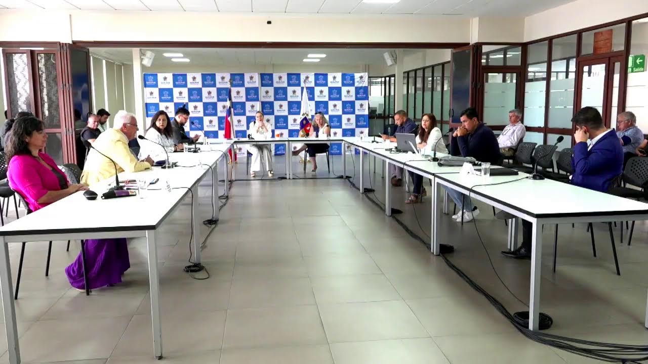 Concejo Extraordinario N°11