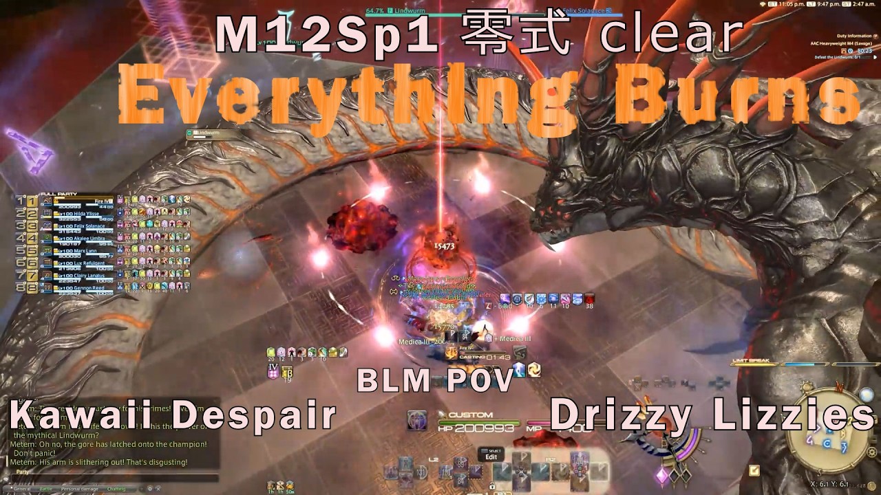 Kawaii Despair : AAC Heavyweight M12sP1 - Lindwurm(BLM pov)