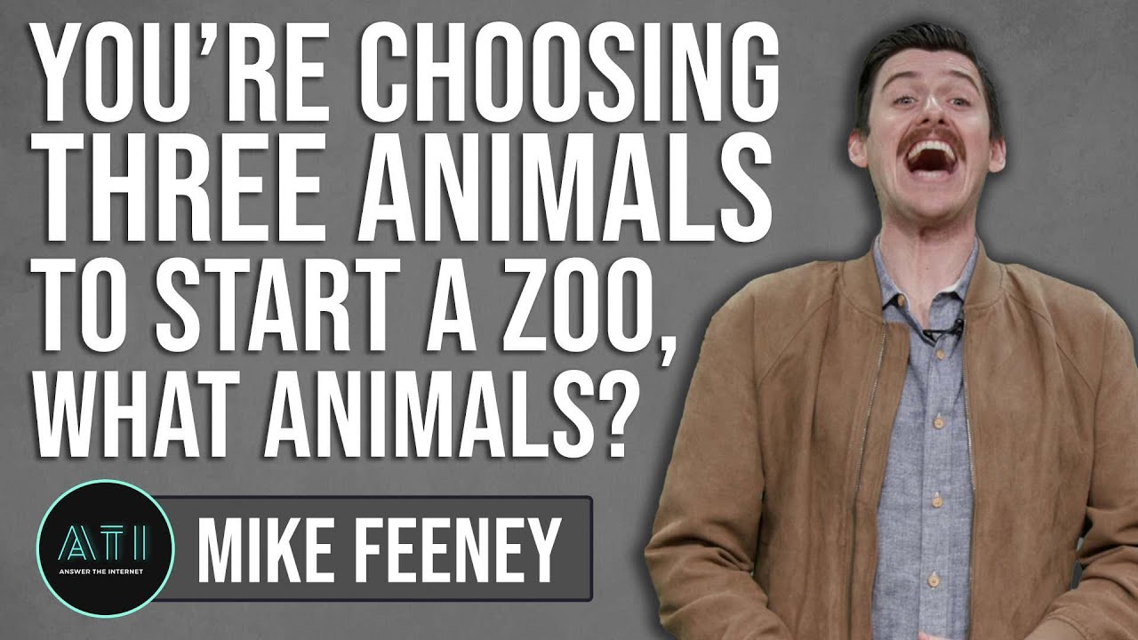Mike Feeney Has a Billion Dollar Idea Involving Geese - Answer the Internet
