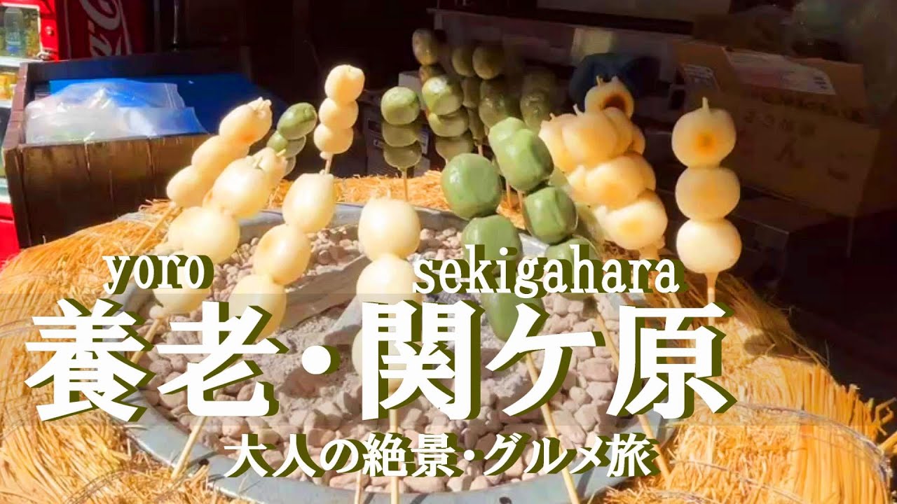 【岐阜旅行vlog】関ケ原＆養老観光♪自然とアートと歴史満喫旅♡養老の滝｜養老天命反転地｜岐阜関ケ原古戦場記念館［日帰り旅］