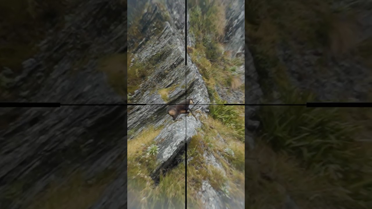 🐐 У СЕРНЫ только ОДИН рог! (150 метров)  #трофейнаяохота