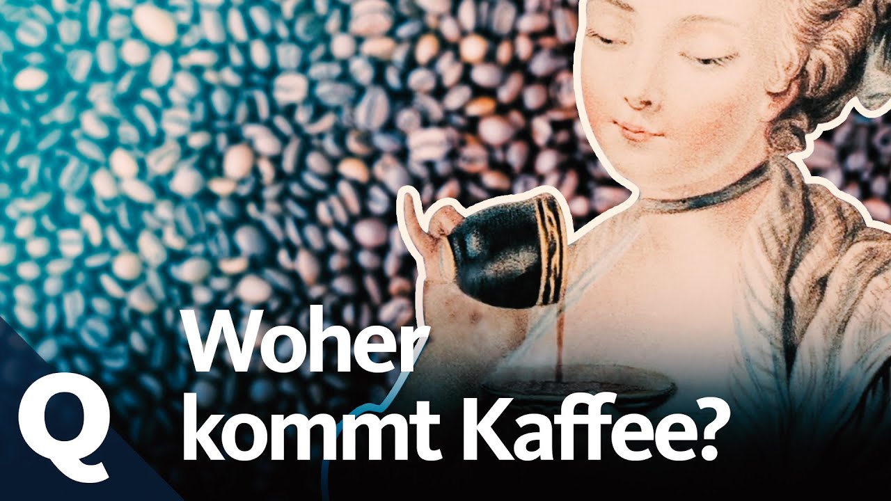 Die Geschichte vom Kaffee | Quarks