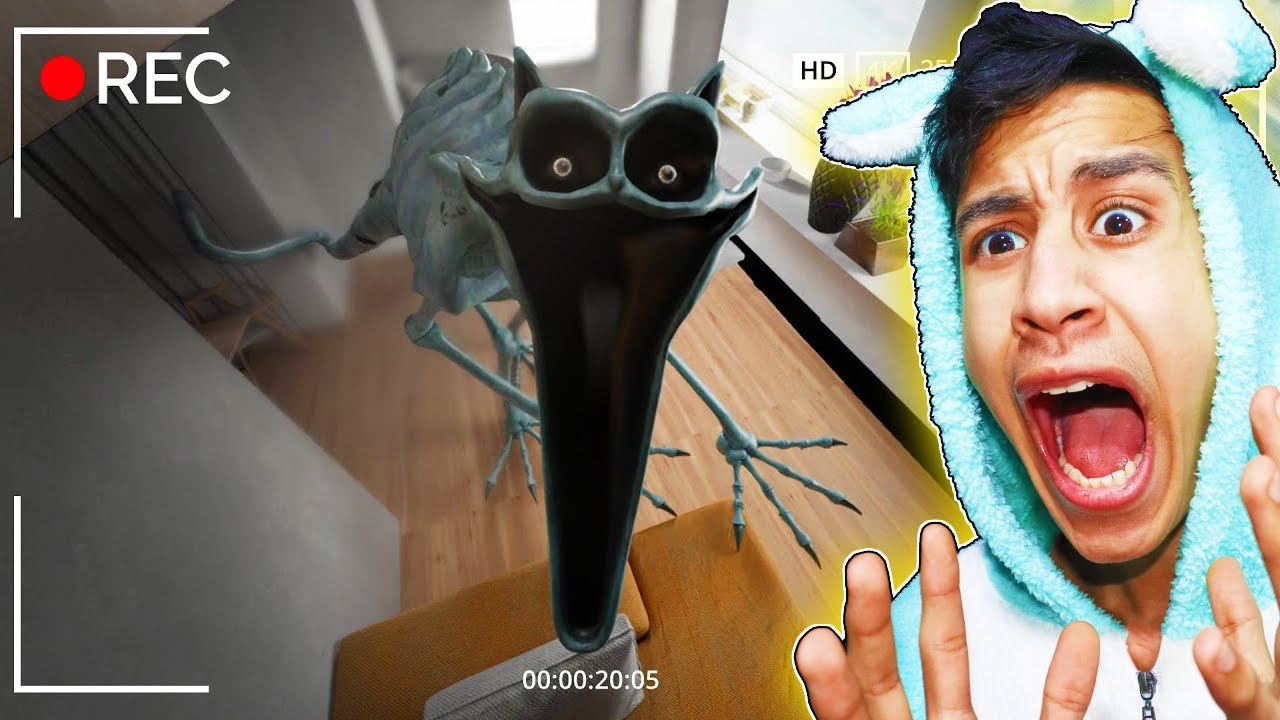 أشياء مخيفة صورتها كاميرات المراقبة لم يجدو لها تفسير (الكات ناب) !!🔥😱