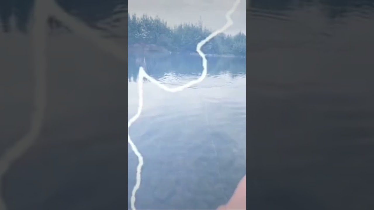 Tremendo pique de una carpa de  4kg # pesca en chile