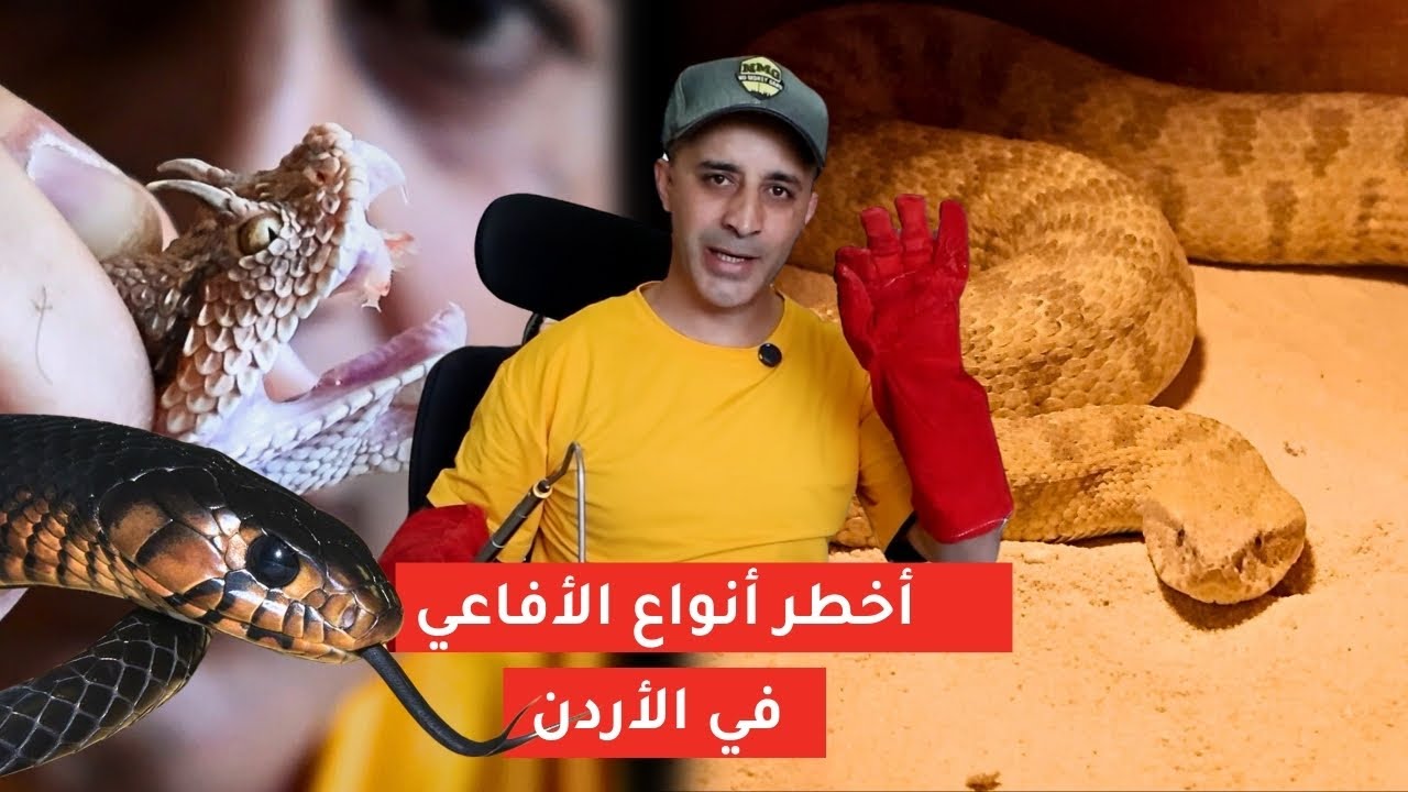 من بينها 