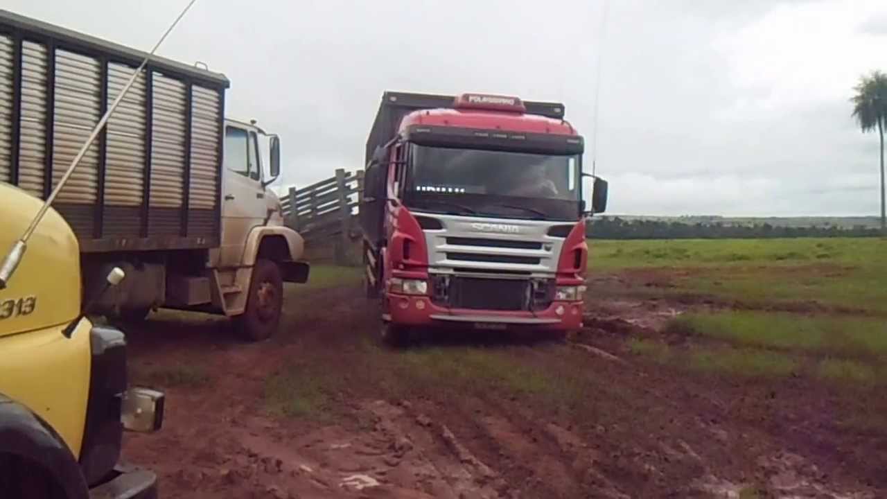 Boiadeiros de Paranavaí 4!!
