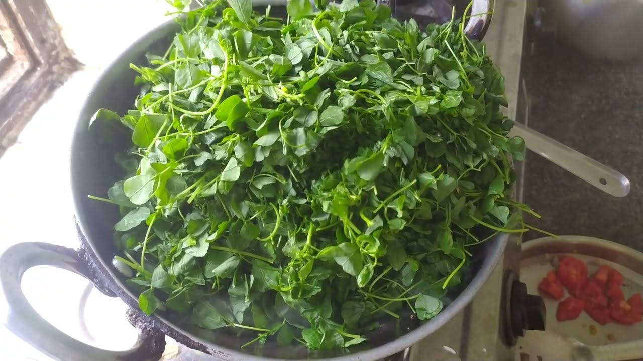 बिहार/CG की स्पेशल चनौरी भाजी🌶️| Village Style Chanauri Saag Recipe|एक बार खाएंगे तो खाते रह जाएंगे🤤