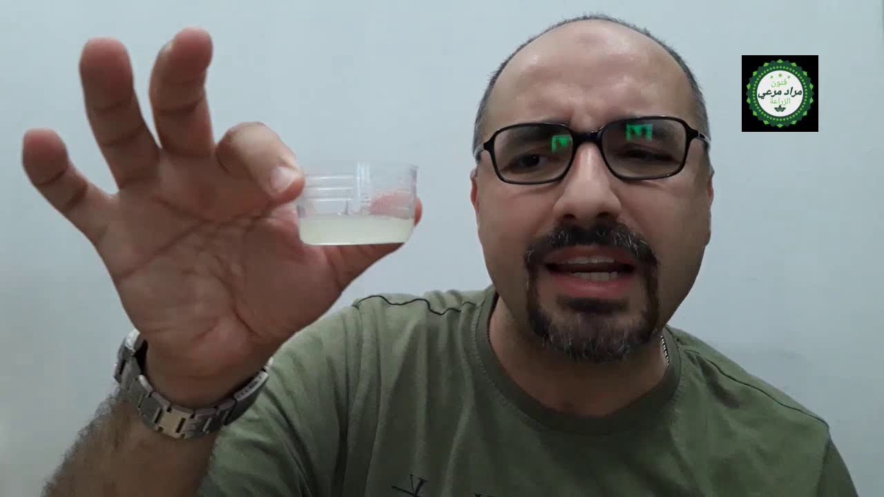 زراعة العضوية لخضار والفاكهة معا لتأكل أكل صحى وسليم  Organic Agriculture حلقة 342