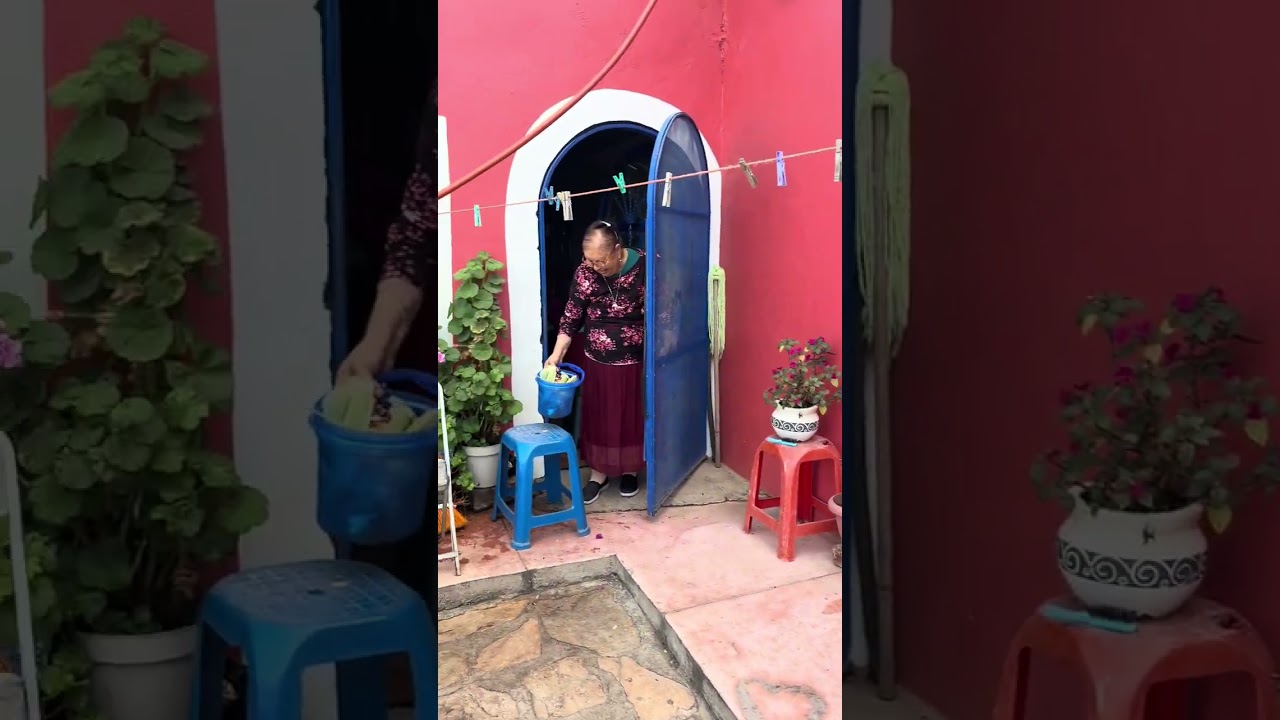 El cumpleaños de mi mamá ! 1ra parte 