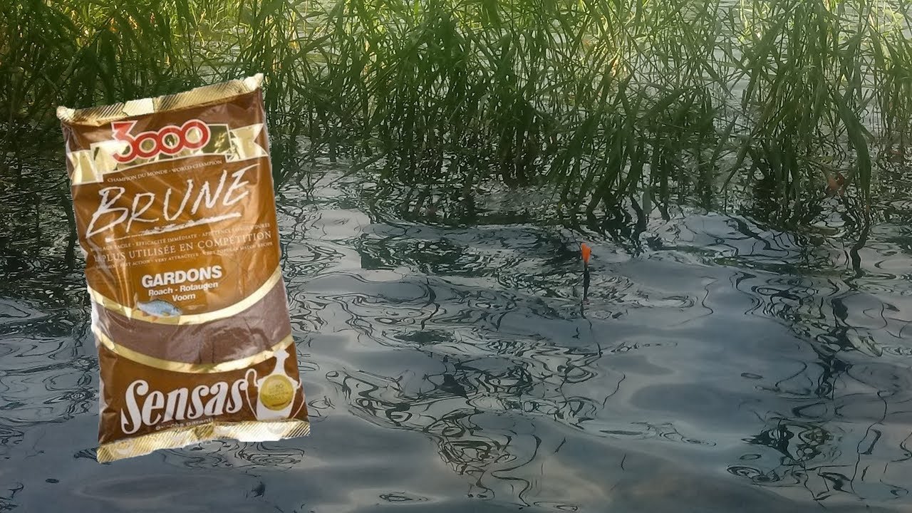 Sensas Groundbait Underwater #sensas