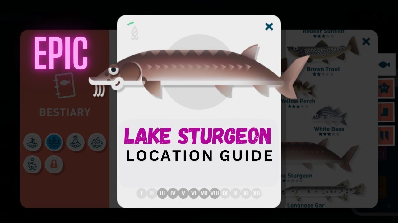 Creatures of the Deep Lake Sturgeon location Guide #walkthrough #gameplay #androidgames