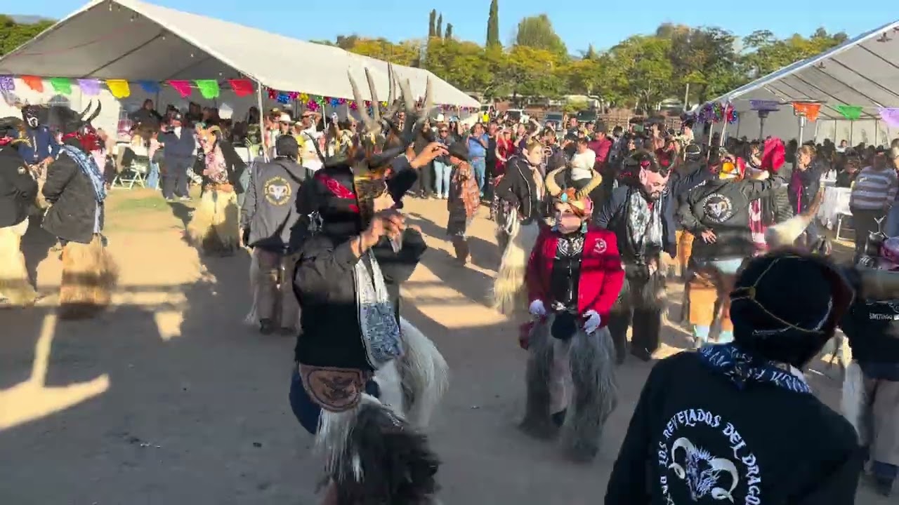 LOS REVELADOS DEL DRAGÓN CON LA BANDA HERENCIA MIXTECA VIRGENCITA DE JUQUILA 