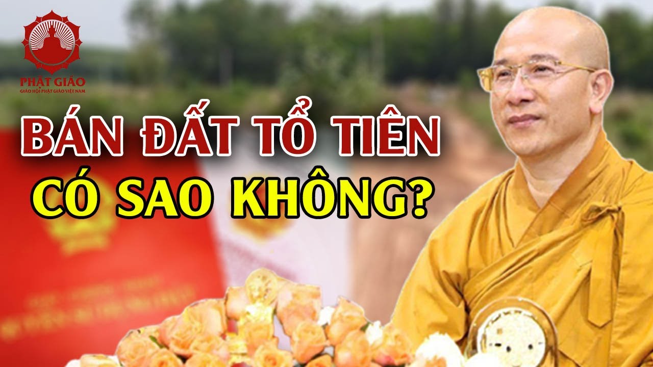 Bán đất ông bà tổ tiên có sao không? Thầy Thích Trúc Thái Minh | PGVN