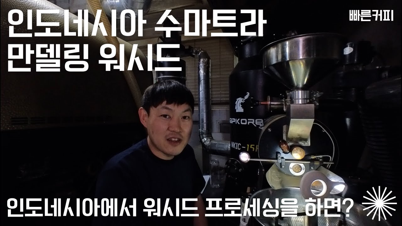 인도네시아 워시드 커피
