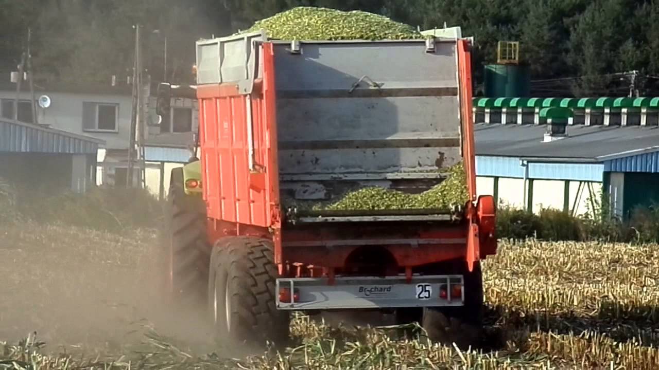 KUKURYDZA NA KISZONKĘ 2014 w RSP