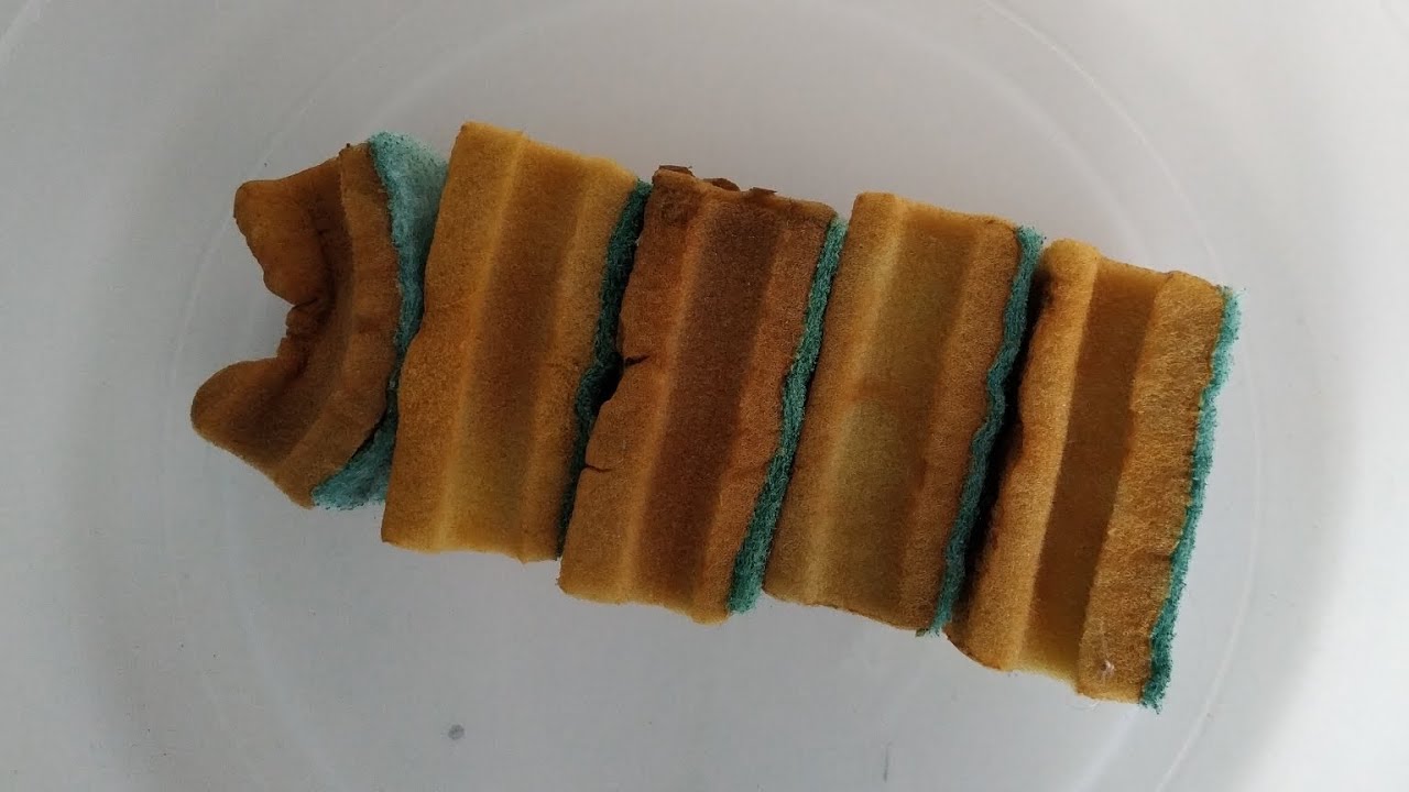 Bleached Kitchen Sponges Dry Ripping | Sponge ASMR