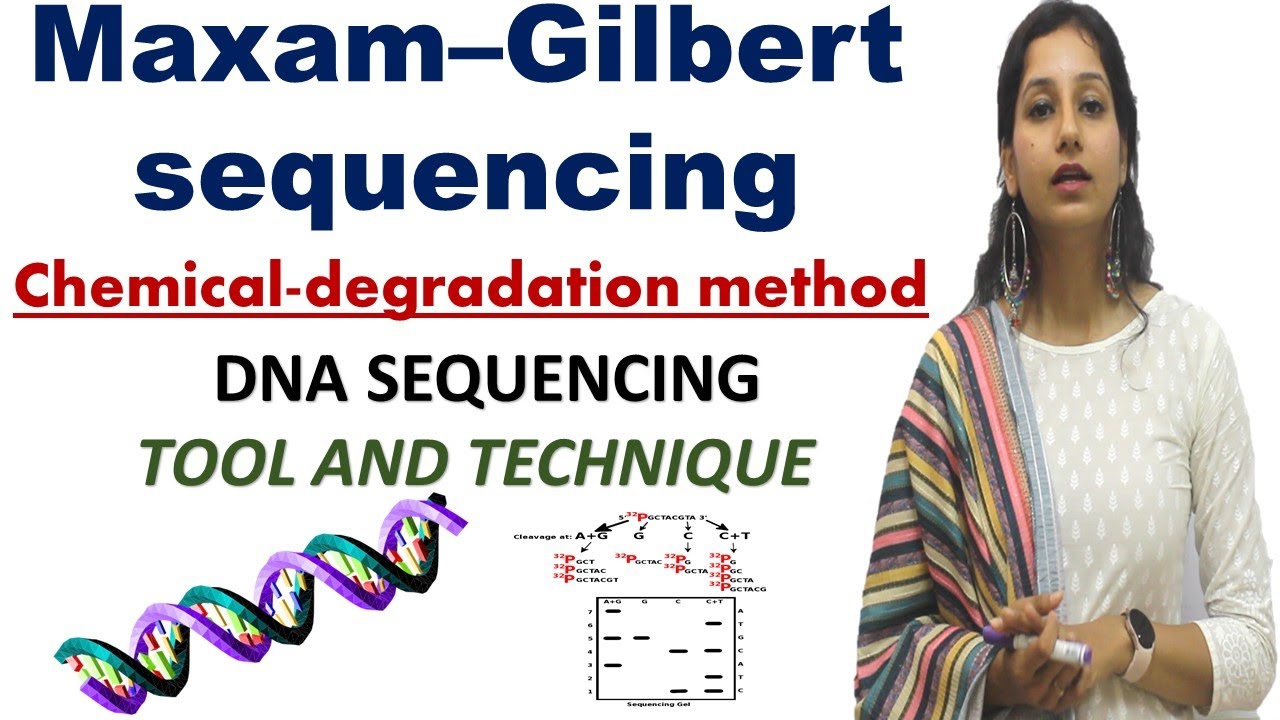 Maxam–Gilbert sequencing I Chemical degradation method I DNA Sequencing I Tools & Techniques
