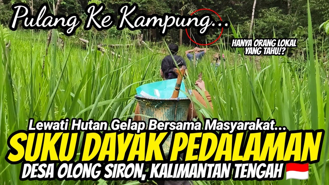 JALUR RAHASIA!! PULANG KE KAMPUNG MENEMBUS HUTAN GELAP BERSAMA MASYARAKAT SUKU DAYAK PEDALAMAN